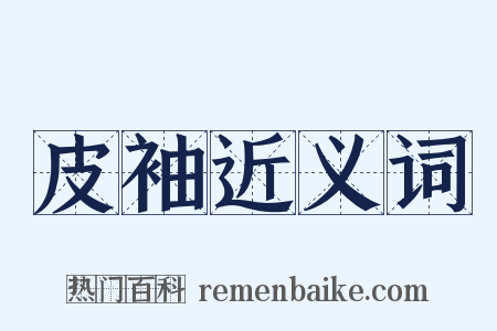 皮袖近义词是什么意思的图片